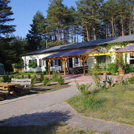 Hostel Waldhaus Am Ferienpark Mirow -Zimmer Du Wc エクステリア 写真